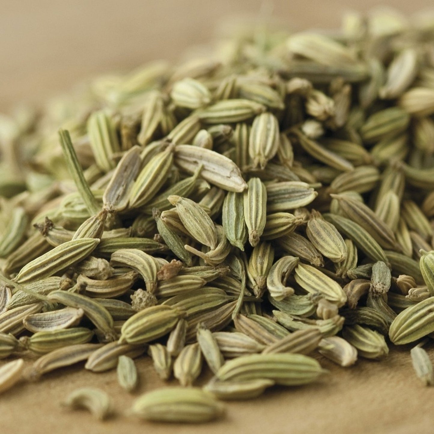 Fennel Seed