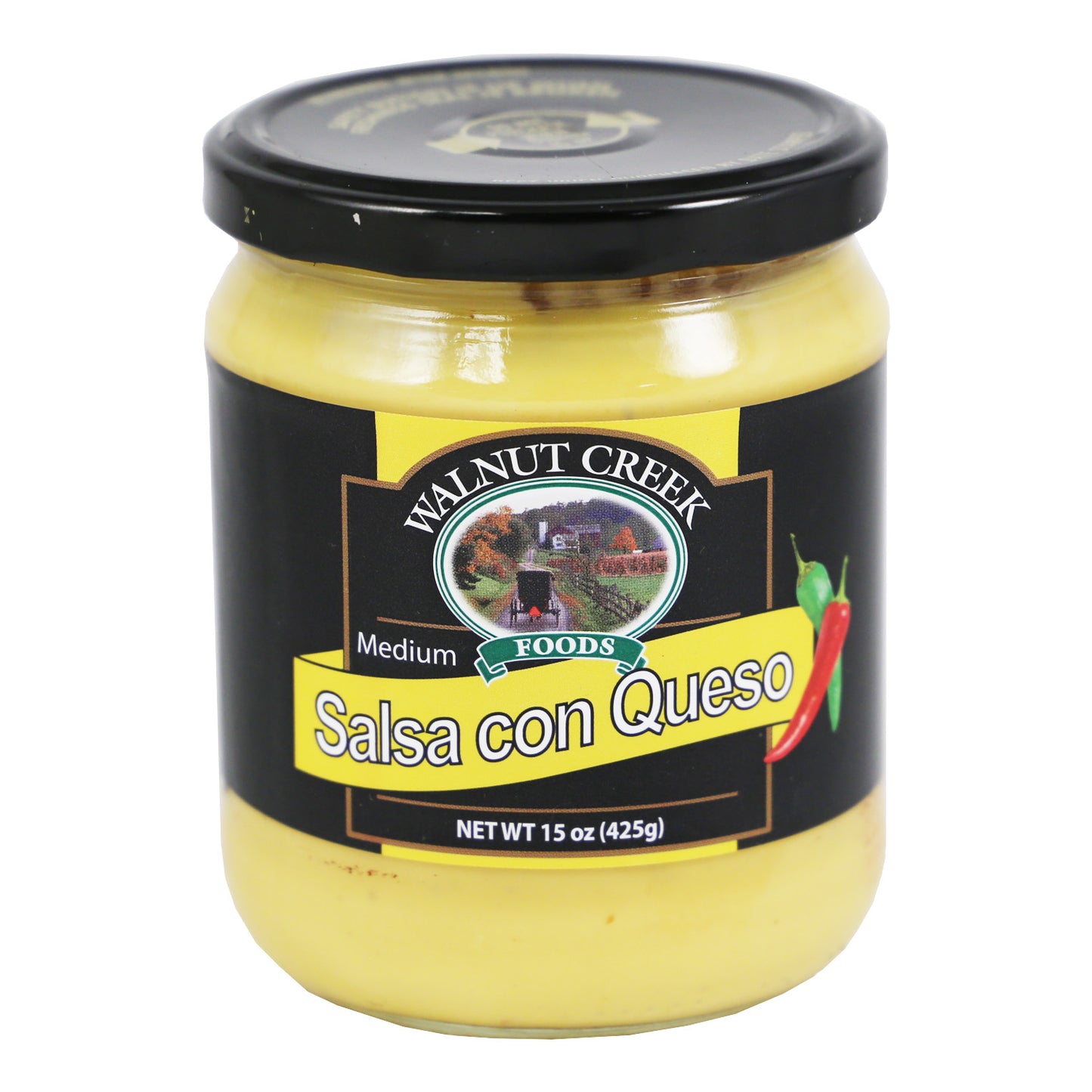 Salsa Con Queso Dip