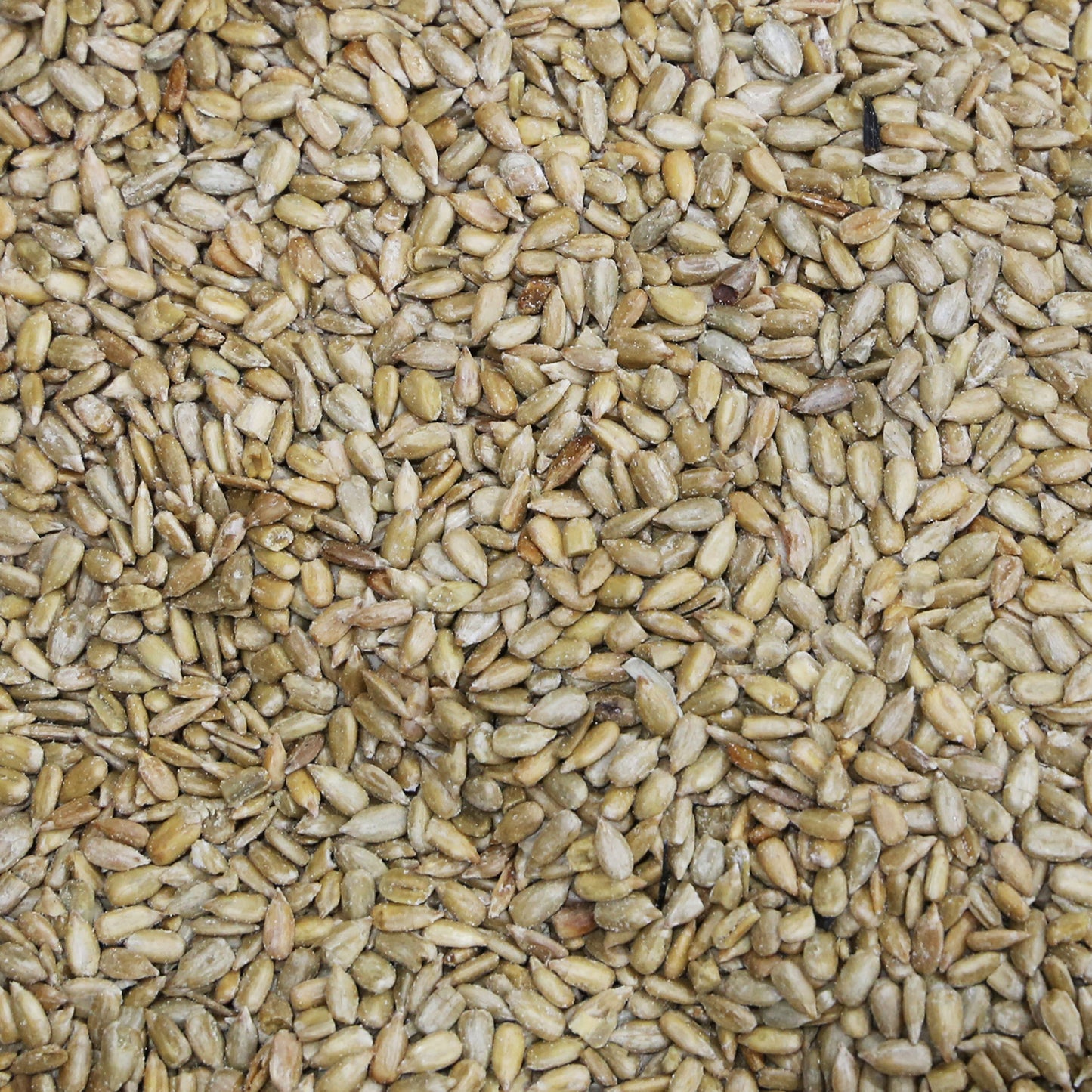 Sunflower Seeds - Roasted & Salted