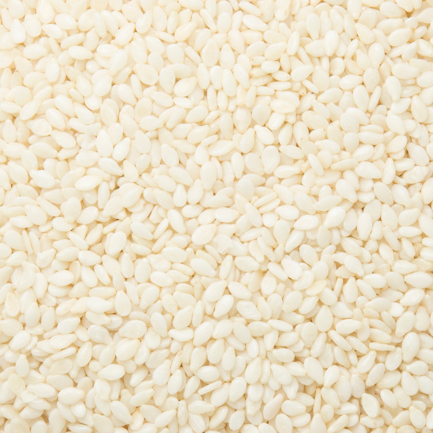 Sesame Seeds