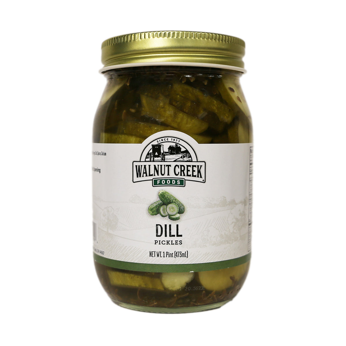 Pickles - Dill