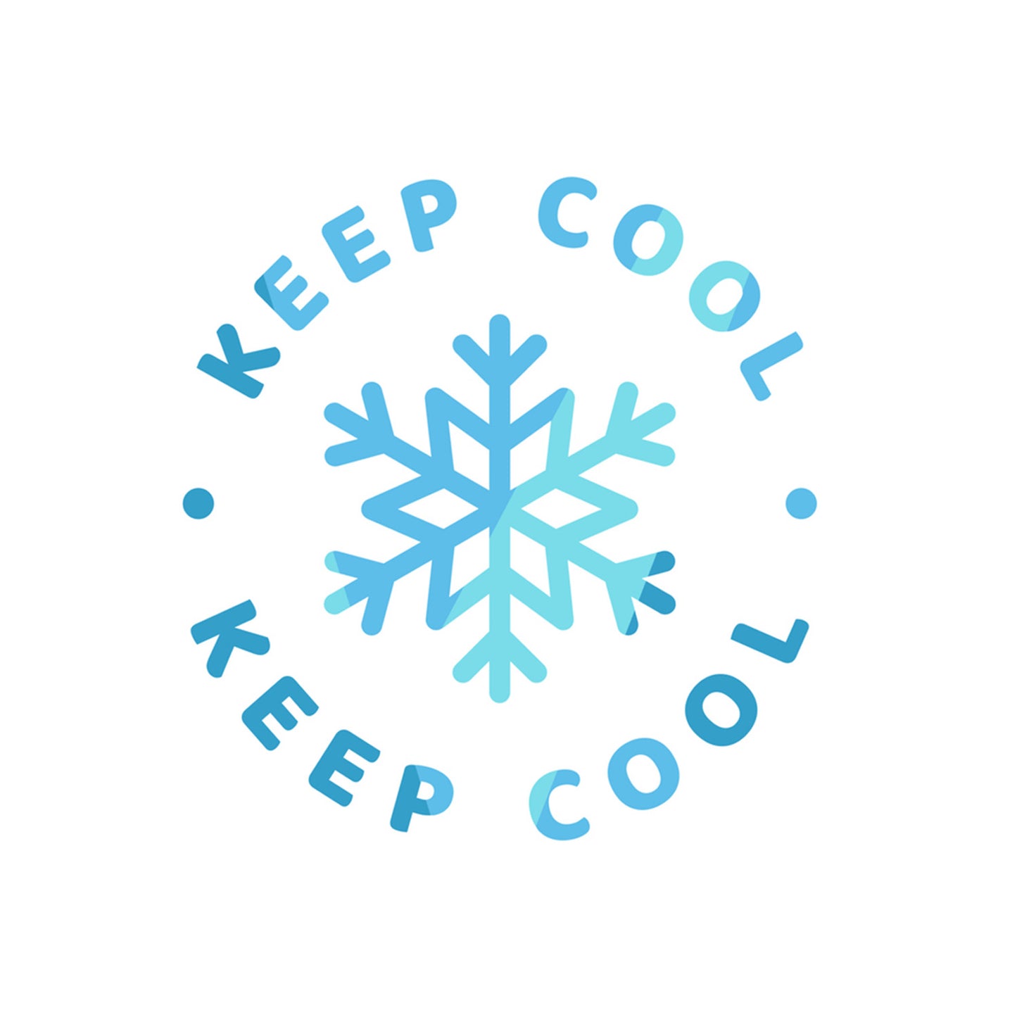 Insulated Cooler & Ice Packs