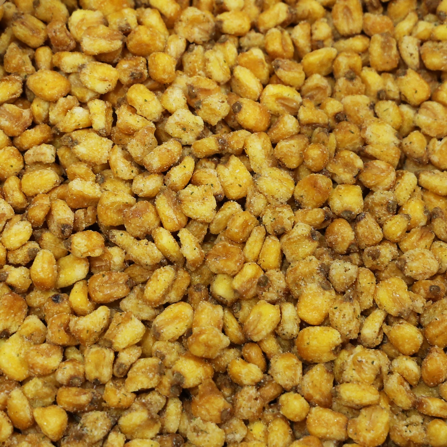 Toasted Corn - Ranch