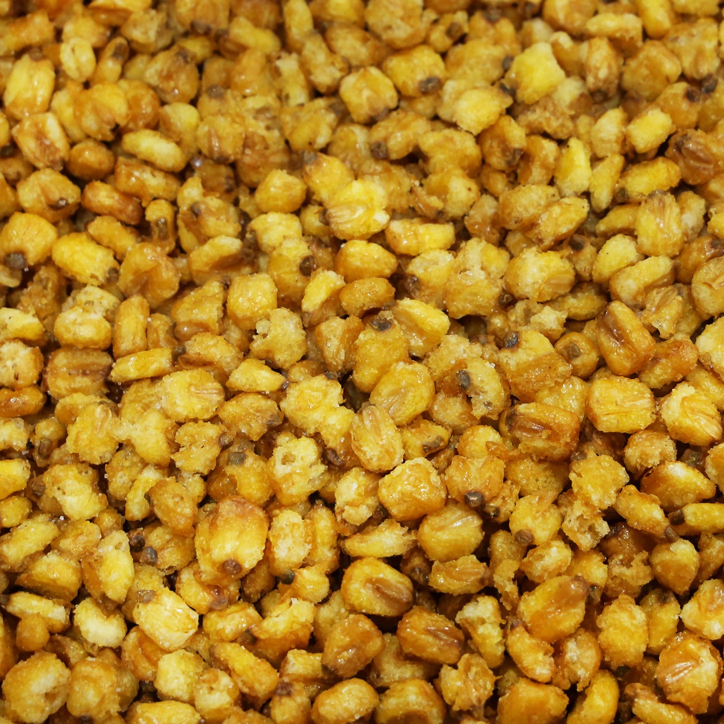 Toasted Corn