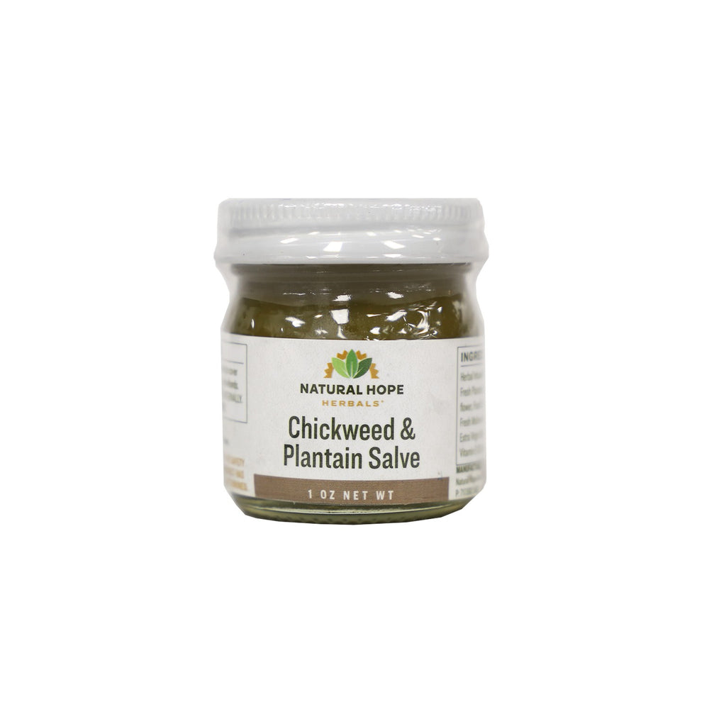 Natural Hope Herbals - Chickweed & Plantain Salve 1 oz