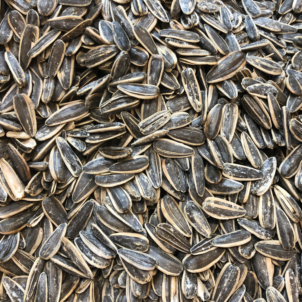 Sunflower Seeds - Roasted & Salted In Shell